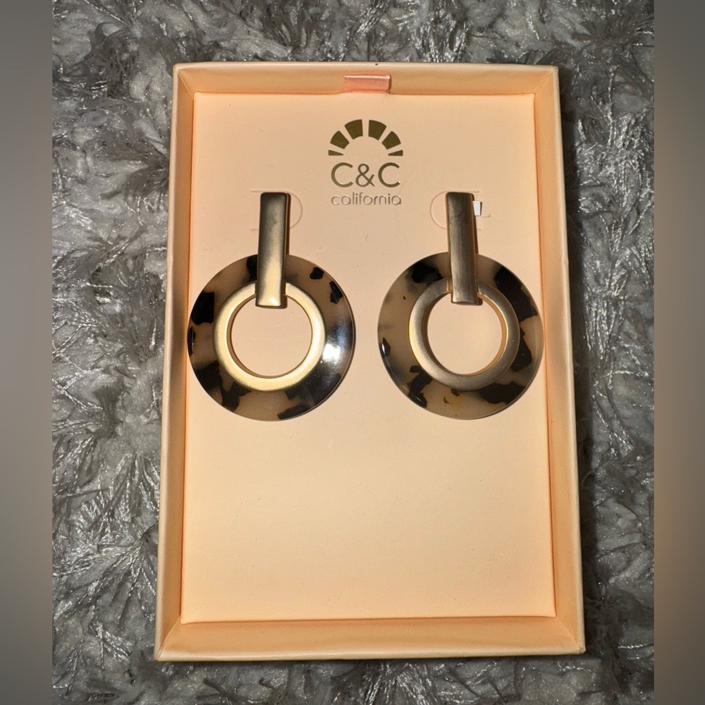 Abstract Earrings